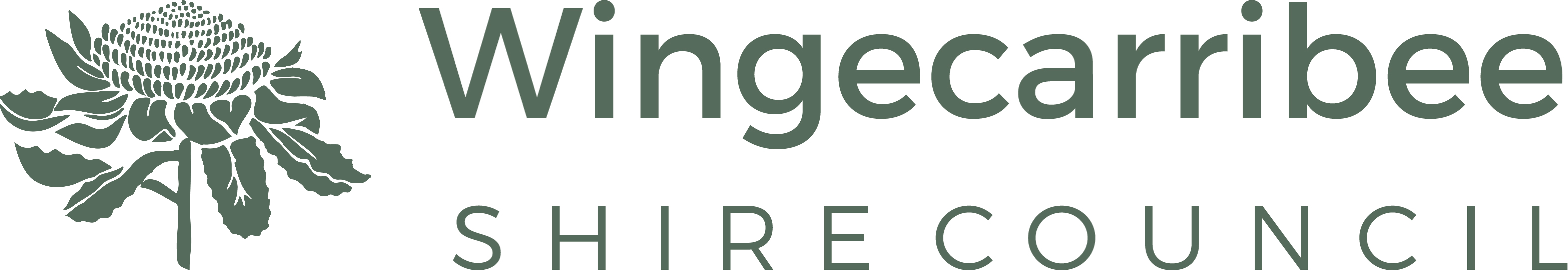 Wingecarribee Shire Council