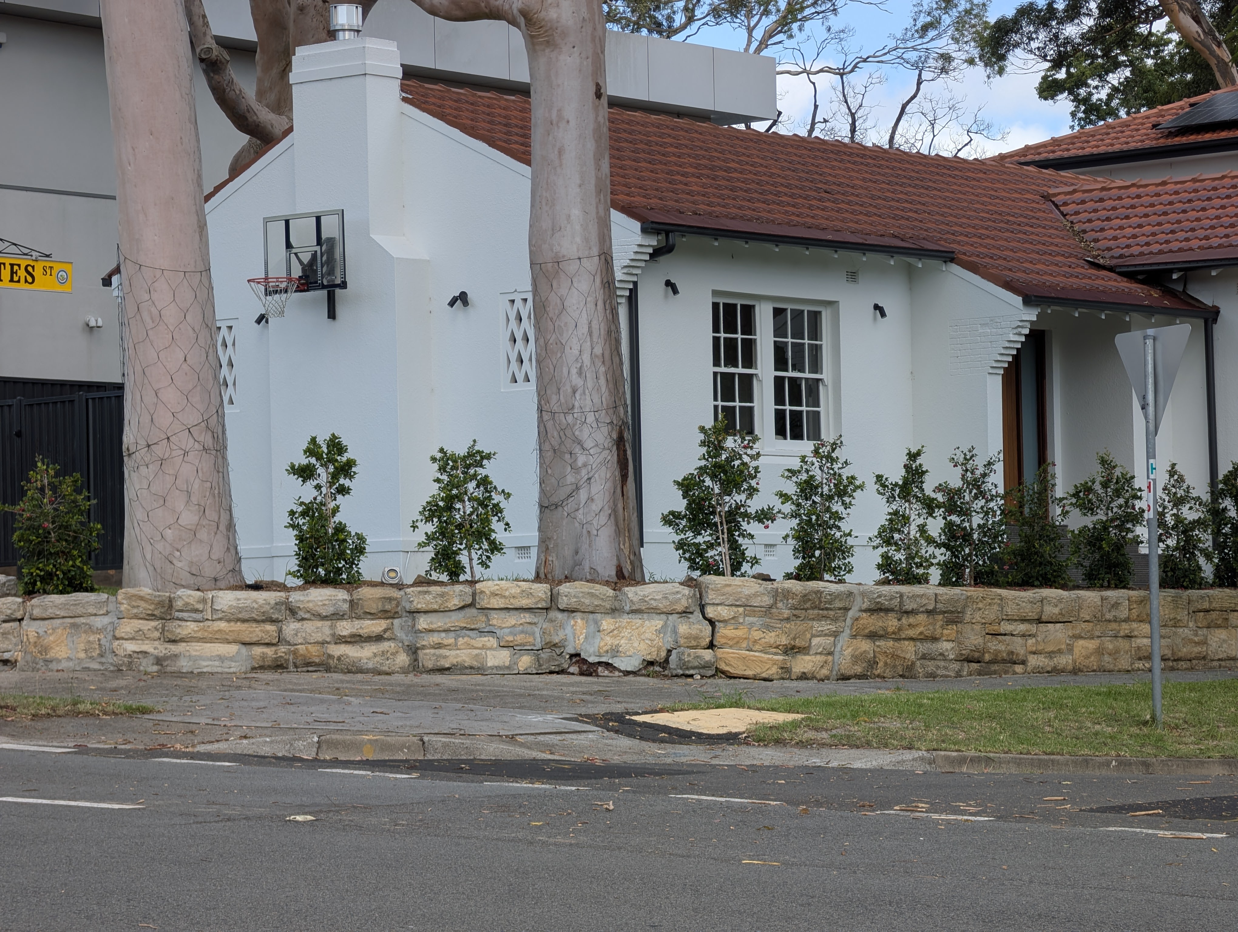 Arthur St, Strathfield — PXL_20250206_043738244